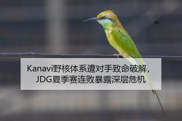 Kanavi野核体系遭对手致命破解，JDG夏季赛连败暴露深层危机