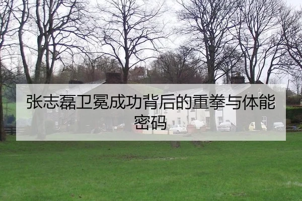 张志磊卫冕成功背后的重拳与体能密码