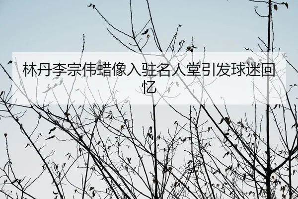 lin-dan-li-zong-wei-la-xiang-ru-zhu-ming-ren-tang-yin-fa-qiu-mi-hui-yi-3-781.jpg