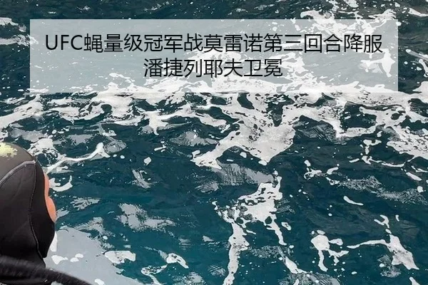 UFC蝇量级冠军战莫雷诺第三回合降服潘捷列耶夫卫冕