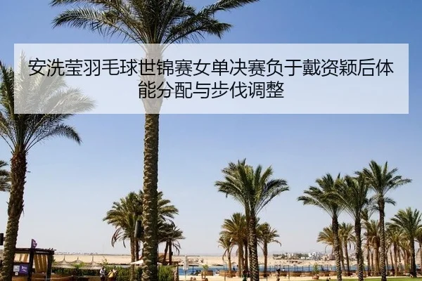 an-xi-ying-yu-mao-qiu-shi-jin-sai-nv-dan-jue-sai-fu-yu-dai-zi-ying-hou-ti-neng-fen-pei-yu-bu-fa-tiao-zheng-3-681.jpg